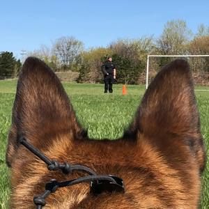 Meet your Posher, Alan